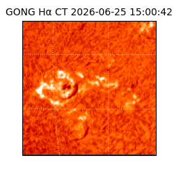 gong - 2026-06-25T15:00:42