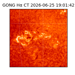 gong - 2026-06-25T19:01:42