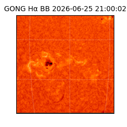 gong - 2026-06-25T21:00:02