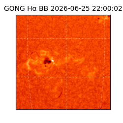 gong - 2026-06-25T22:00:02