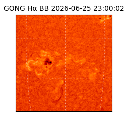 gong - 2026-06-25T23:00:02