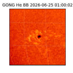 gong - 2026-06-25T01:00:02