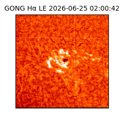 gong - 2026-06-25T02:00:42