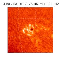 gong - 2026-06-25T03:00:02