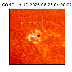 gong - 2026-06-25T04:00:02