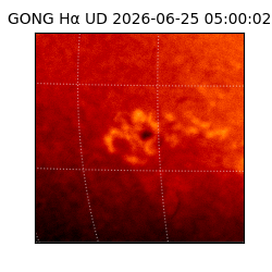 gong - 2026-06-25T05:00:02