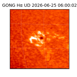 gong - 2026-06-25T06:00:02
