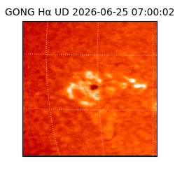 gong - 2026-06-25T07:00:02