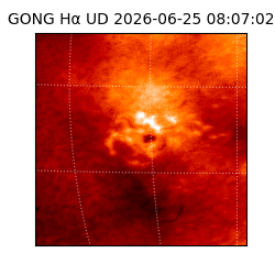 gong - 2026-06-25T08:07:02