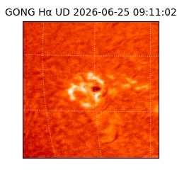 gong - 2026-06-25T09:11:02