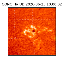 gong - 2026-06-25T10:00:02