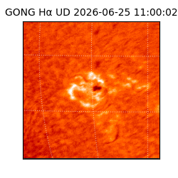 gong - 2026-06-25T11:00:02