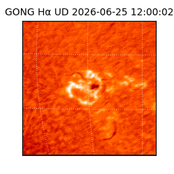 gong - 2026-06-25T12:00:02