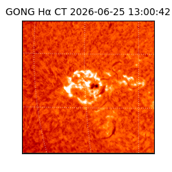 gong - 2026-06-25T13:00:42