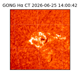 gong - 2026-06-25T14:00:42