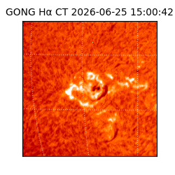 gong - 2026-06-25T15:00:42