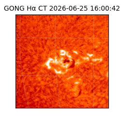 gong - 2026-06-25T16:00:42