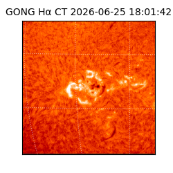 gong - 2026-06-25T18:01:42