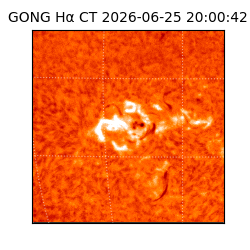 gong - 2026-06-25T20:00:42