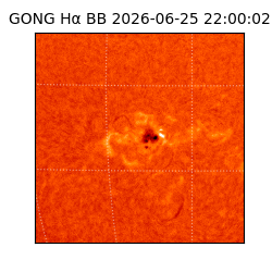 gong - 2026-06-25T22:00:02