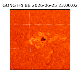 gong - 2026-06-25T23:00:02