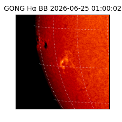 gong - 2026-06-25T01:00:02
