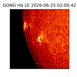 gong - 2026-06-25T02:00:42