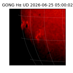 gong - 2026-06-25T05:00:02