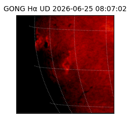 gong - 2026-06-25T08:07:02