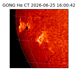 gong - 2026-06-25T16:00:42