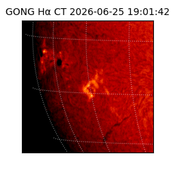 gong - 2026-06-25T19:01:42