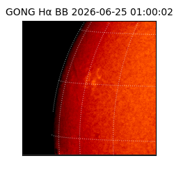 gong - 2026-06-25T01:00:02