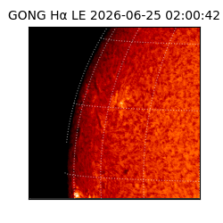 gong - 2026-06-25T02:00:42