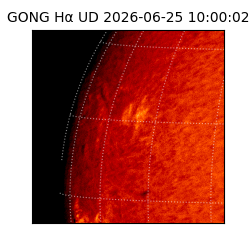 gong - 2026-06-25T10:00:02