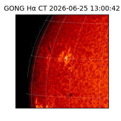gong - 2026-06-25T13:00:42