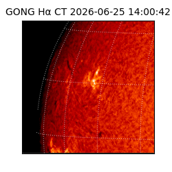 gong - 2026-06-25T14:00:42