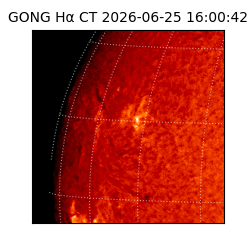 gong - 2026-06-25T16:00:42