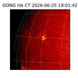 gong - 2026-06-25T19:01:42