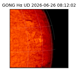 gong - 2026-06-26T08:12:02