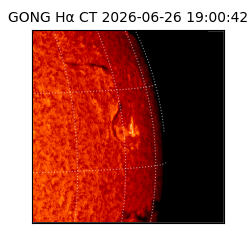 gong - 2026-06-26T19:00:42