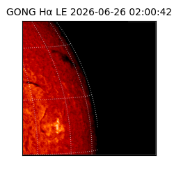gong - 2026-06-26T02:00:42