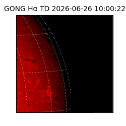 gong - 2026-06-26T10:00:22