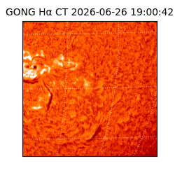 gong - 2026-06-26T19:00:42