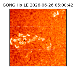 gong - 2026-06-26T05:00:42