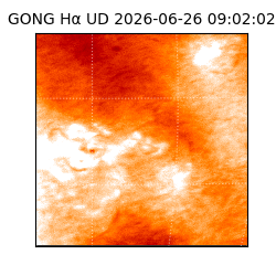 gong - 2026-06-26T09:02:02