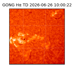 gong - 2026-06-26T10:00:22