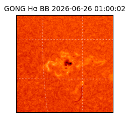 gong - 2026-06-26T01:00:02