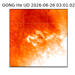gong - 2026-06-26T03:01:02