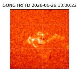 gong - 2026-06-26T10:00:22