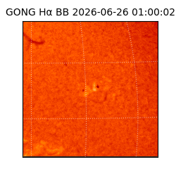 gong - 2026-06-26T01:00:02
